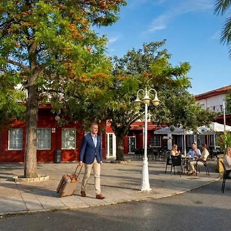Mitra Crisalida قبرة