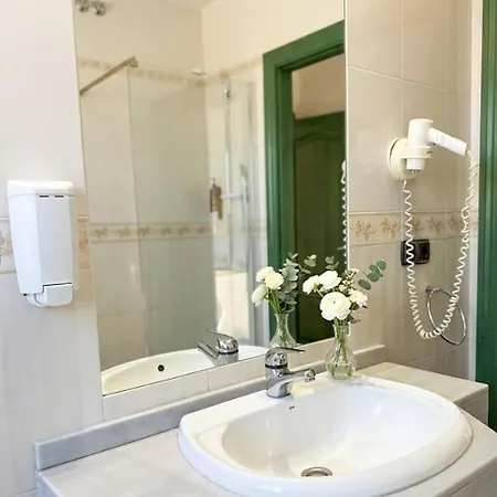 Mitra Crisalida قبرة